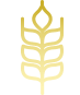 Image icon